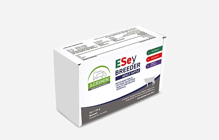 Beef Cattle ESey BREEDER ADULT CATTLE