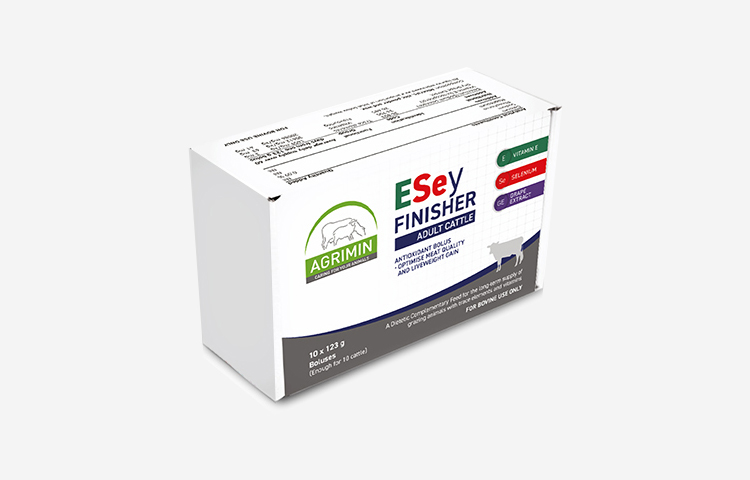 Beef Cattle ESey FINISHER ADULT CATTLE